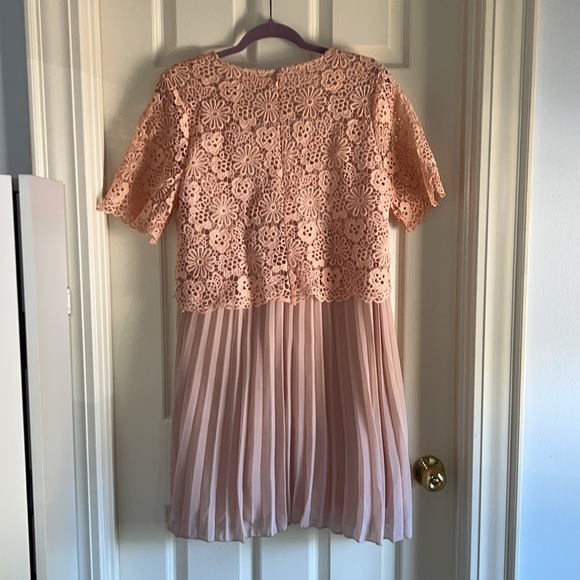 NWT Moulinette Soeurs Anthropologie Adanne Blush Lace Pleat Dress - Picture 6 of 7
